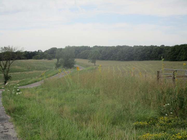 20160724142443_IMG_0101.JPG image