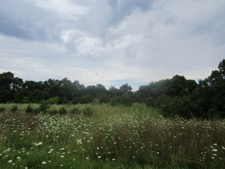 20160724143311_IMG_0104.JPG image