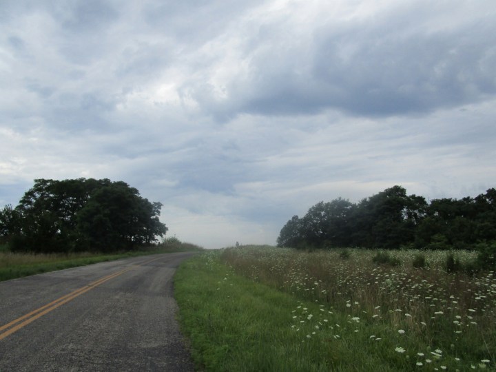 20160724143318_IMG_0105.JPG image