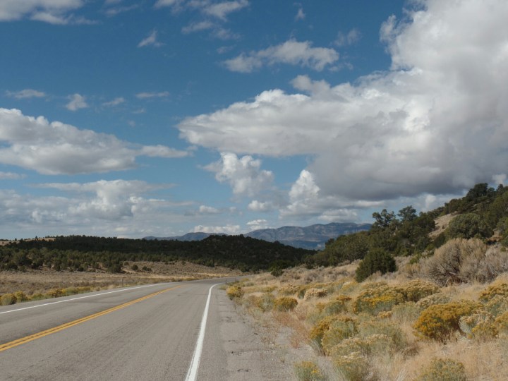 wp-1475592618574 image