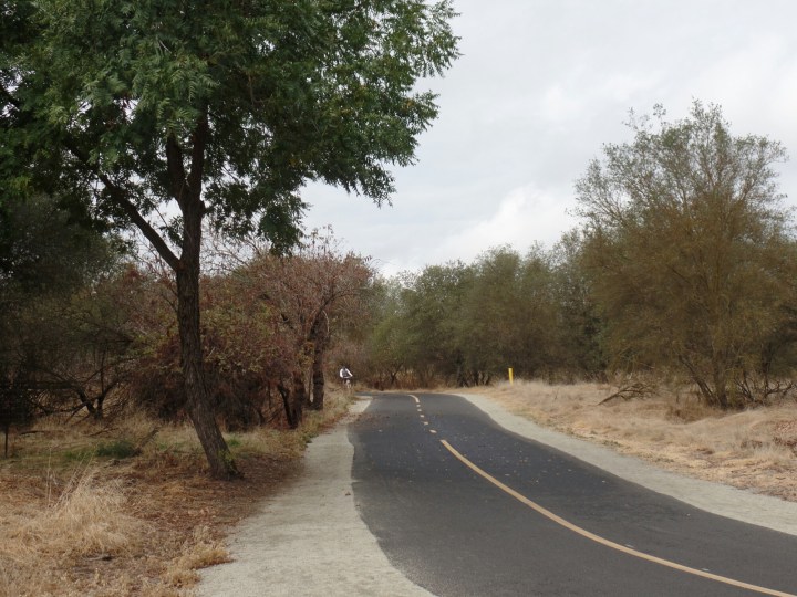 wp-1477847628900 image